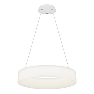 Top Light - LED Lustre à suspendre HALO LED/60W/230V 3000-6500K 60 cm + télécommande