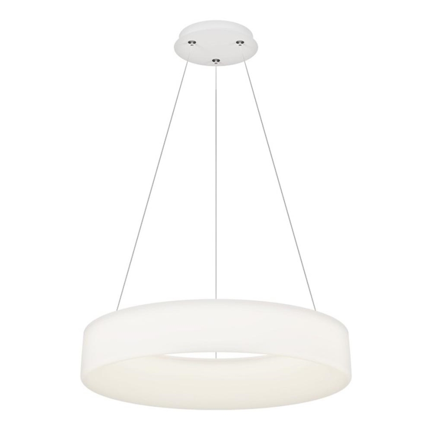 Top Light - LED Lustre à suspendre HALO LED/60W/230V 3000-6500K 60 cm + télécommande