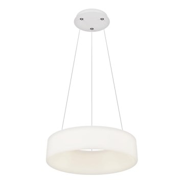 Top Light - LED Suspension dimmable HALO LED/40W/230V 3000-6500K diamètre 44 cm + télécommande