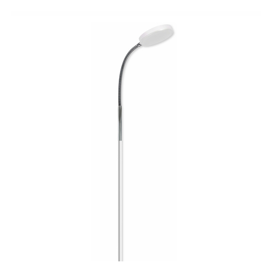 Top Light Lucy P B - Lampadaire LUCY LED/5W/230V