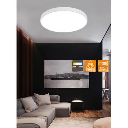 Top Light Metal 60B Télécommande - Plafonnier à intensité variable LED avec télécommande METAL LED/60W/230V