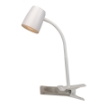 Top Light Mia KL B - Lampe à pince  LED/4,5W/230V