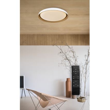 Top Light - Plafonnier à intensité variable SATELLITE LED/36W/230V 3000-6500K d. 43 cm blanc/marron + télécommande