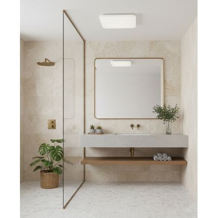Top Light - Plafonnier LED pour salle de bains DUNAJ LED/18W/230V 3000/4000/6500K IP44 27,5x27,5 cm blanc
