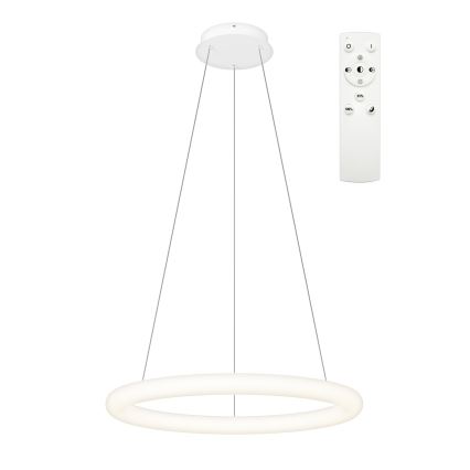 Top Light - Suspension LED dimmable sur câble RINGO LED/40W/230V 3000-6500K blanc + télécommande