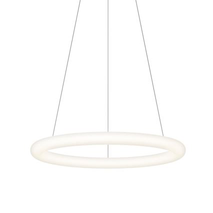 Top Light - Suspension LED dimmable sur câble RINGO LED/40W/230V 3000-6500K blanc + télécommande