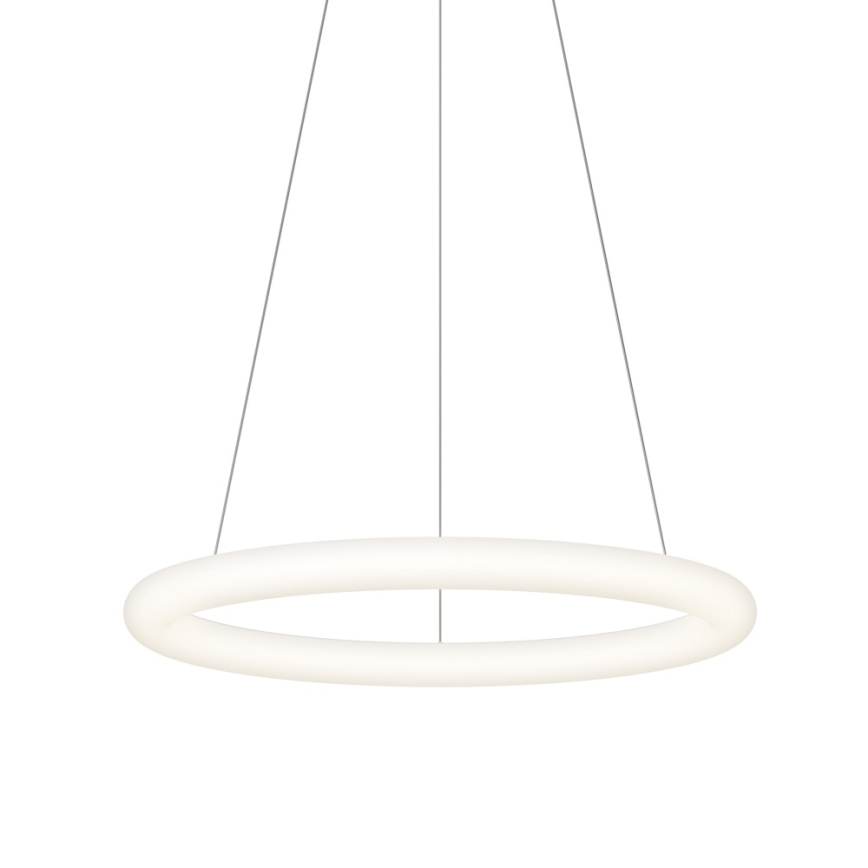 Top Light - Suspension LED dimmable sur câble RINGO LED/40W/230V 3000-6500K blanc + télécommande