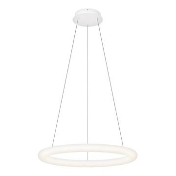 Top Light - Suspension LED dimmable sur câble RINGO LED/40W/230V 3000-6500K blanc + télécommande