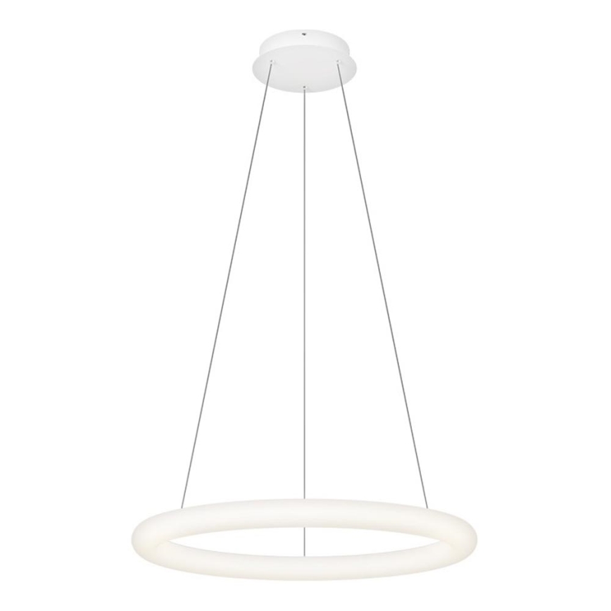 Top Light - Suspension LED dimmable sur câble RINGO LED/40W/230V 3000-6500K blanc + télécommande