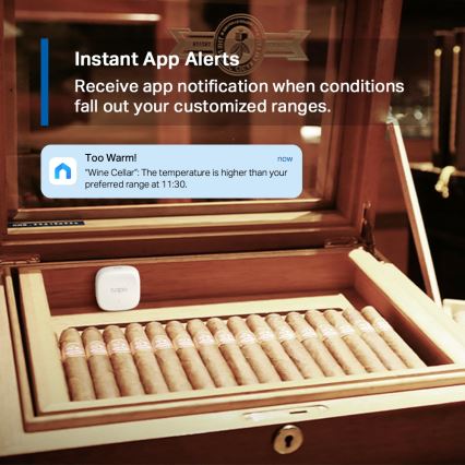 TP-Link - Capteur intelligent de température et d'humidité 1xCR2450