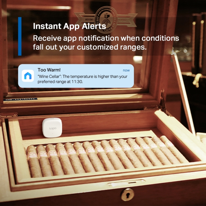 TP-Link - Capteur intelligent de température et d'humidité 1xCR2450