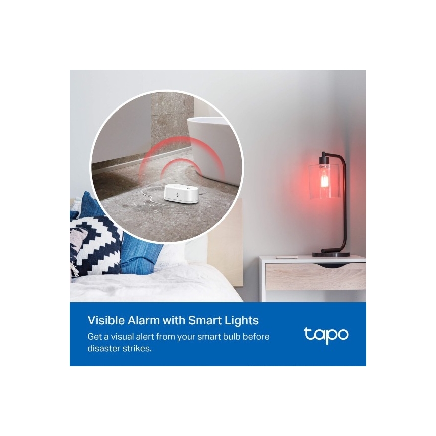 TP-Link - Détecteur de fuite d'eau intelligent 2xAAA