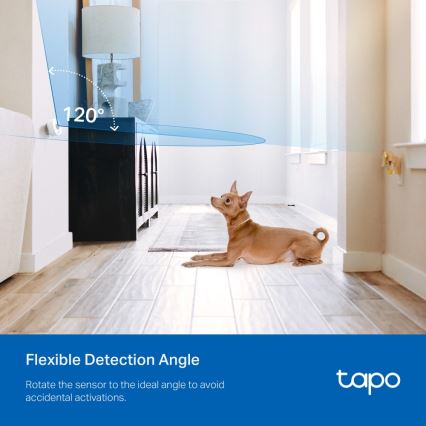 TP-Link - Détecteur de mouvement intelligent 1xCR2450 Wi-Fi