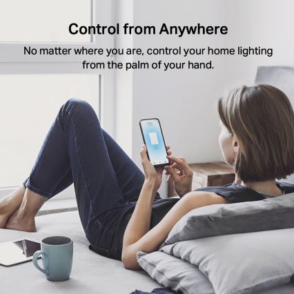 TP-Link - Interrupteur d'éclairage intelligent à deux boutons 2xAAA Wi-Fi