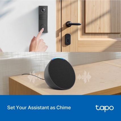 TP-Link - Mini sonnette vidéo intelligente Wi-Fi