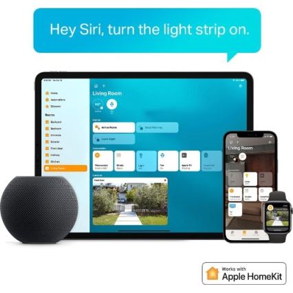 TP-Link - Ruban LED RGBW dimmable 5 m LED/13W/230V Wi-Fi