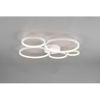 Trio - Plafonnier à intensité variable RONDO LED/49W/230V