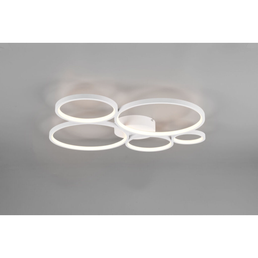 Trio - Plafonnier à intensité variable RONDO LED/49W/230V