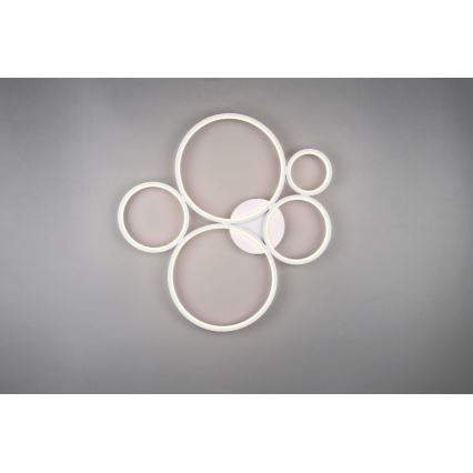 Trio - Plafonnier à intensité variable RONDO LED/49W/230V