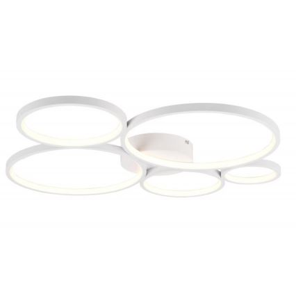 Trio - Plafonnier à intensité variable RONDO LED/49W/230V
