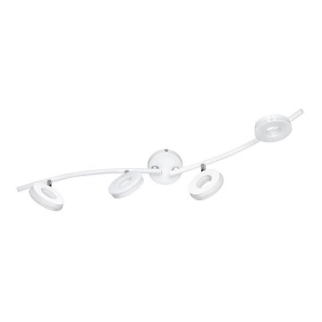 TRIO - Spot LED RENNES 4xLED/4W/230V