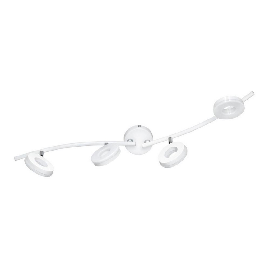 TRIO - Spot LED RENNES 4xLED/4W/230V