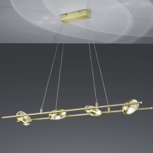 Trio - Suspension LED avec fil LEICESTER 8xLED/4W/230V