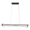 Trio - Suspension LED dimmable sur câble EDGE LED/35W/230V 2300/3000/4000K noir/doré