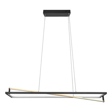 Trio - Suspension LED dimmable sur câble EDGE LED/35W/230V 2300/3000/4000K noir/doré