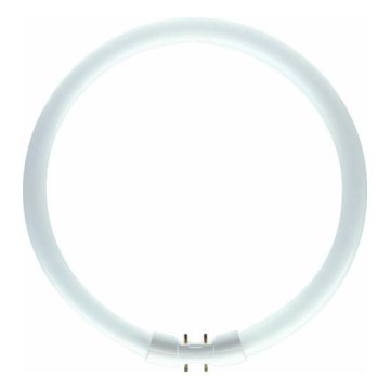 Tube fluorescent cercle Philips 2GX13/60W/230V - MASTER TL5