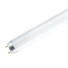 Tube fluorescent G13/18W/230V 6500K 60 cm