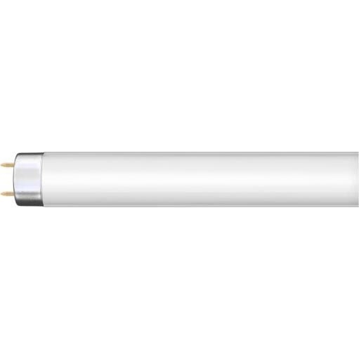 Tube fluorescent G13/36W/230V 120 cm - Narva 108132000