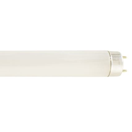 Tube fluorescent G13/36W/230V 4000K 120 cm