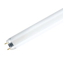 Tube fluorescent G13/58W/230V 6500K 150 cm