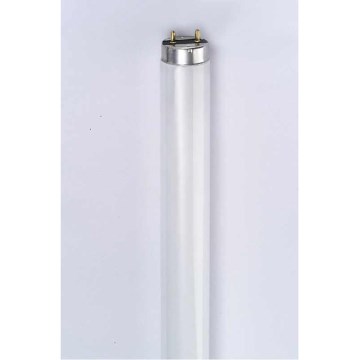 Tube fluorescent IGLOO 1xG13/36W/230V LT-ET T8/640 64 cm