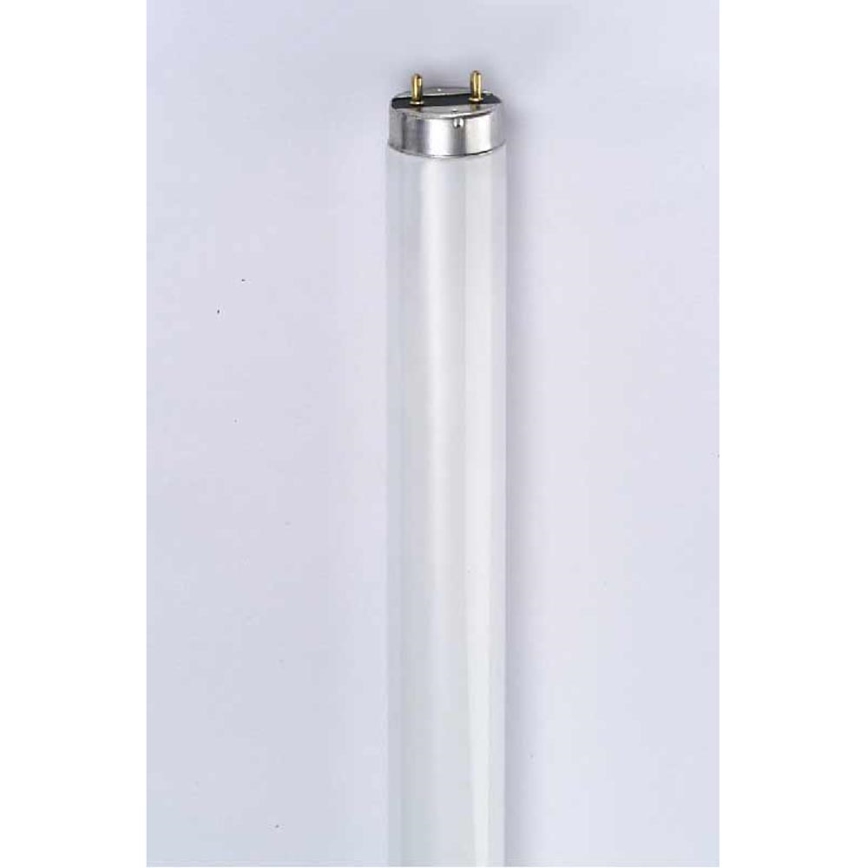 Tube fluorescent IGLOO 1xG13/36W/230V LT-ET T8/640 64 cm