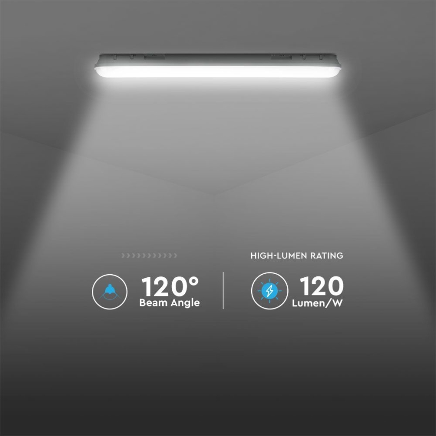 Tube fluorescent industriel avec module d'urgence EMERGENCY LED/48W/230V 6500K 150cm IP65