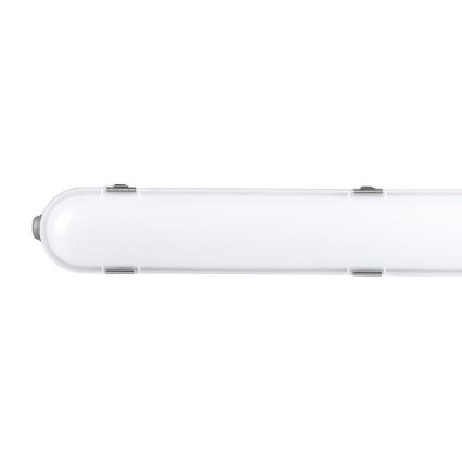 Tube fluorescent industriel avec module d'urgence EMERGENCY LED/48W/230V 6500K 150cm IP65