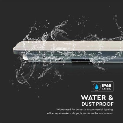 Tube fluorescent industriel LED avec détecteur  X-SERIES LED/36W/230V 6500K 120 cm IP65