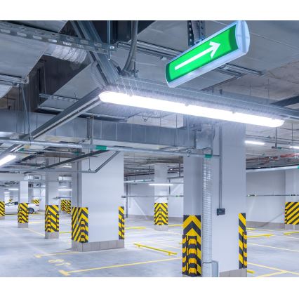 Tube fluorescent industriel NEXFORCE LED/52W/230V IP66 4000K