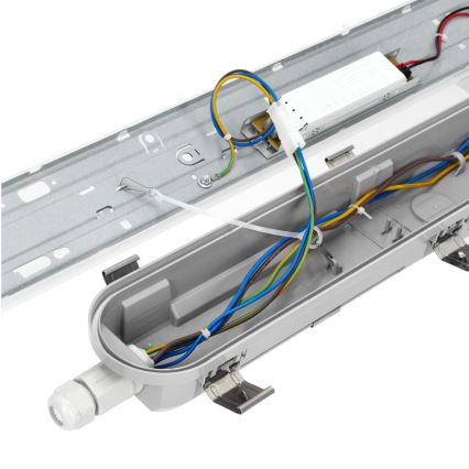 Tube fluorescent industriel NEXFORCE LED/52W/230V IP66 4000K