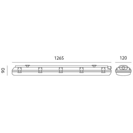 Tube fluorescent industriel T8 2xG13/18W/230V IP65