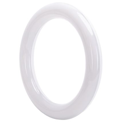Tube fluorescent LED G10q/14W/230V 3000K - Aigostar