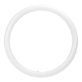 Tube fluorescent LED G10q/20W/230V 4000K - Aigostar