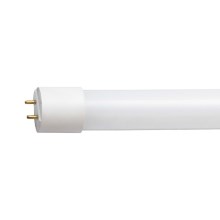 Tube fluorescent LED G13/10W/230V 4000K 60 cm