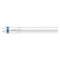 Tube fluorescent LED Philips MASTER T8 G13/16W/80V 6500K 120 cm