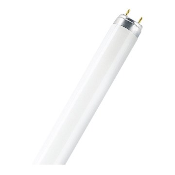 Tube fluorescent LUMILUX T8 G13/30W/230V 4000K - Osram 89,5 cm
