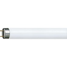 Tube fluorescent Philips G13/30W/230V 90,88 cm