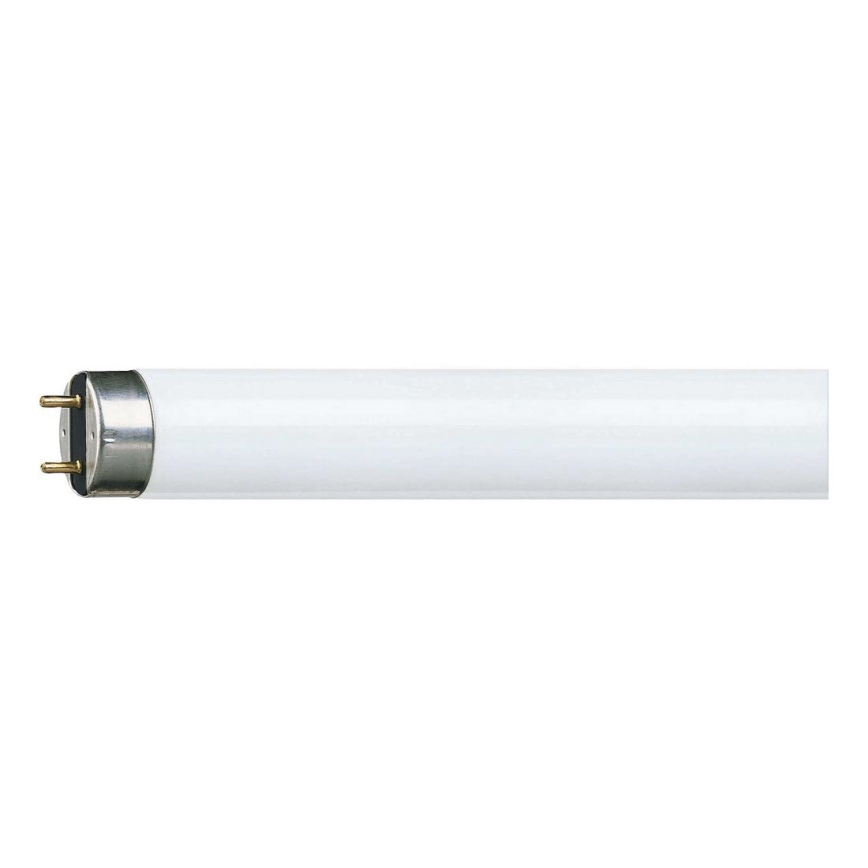 Tube fluorescent Philips G13/36W/230V 121,36 cm