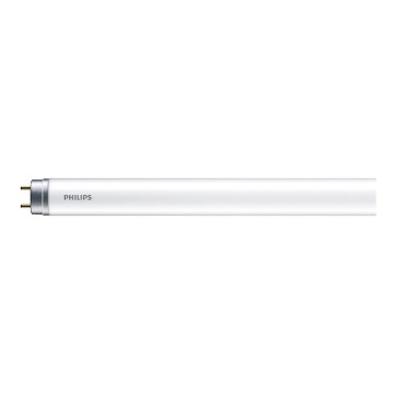 Tube fluorescent Philips LED T8 G13/16W/230V 6500K 120 cm
